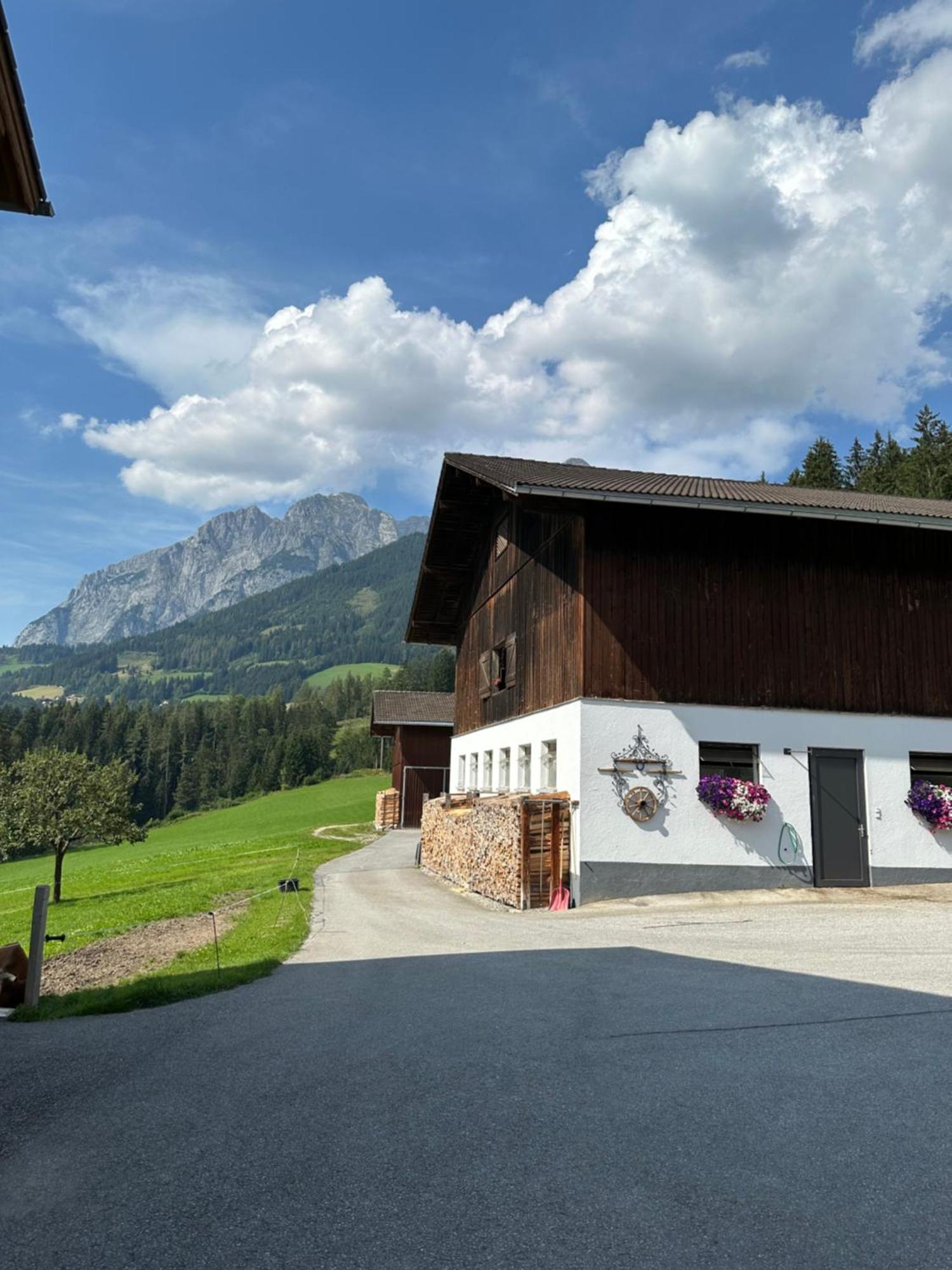 Frische Bergluft Und Laendlicher Charme - Ihr Aktiver Urlaub Am Muehlauhof Mühlbach am Hochkönig 外观 照片