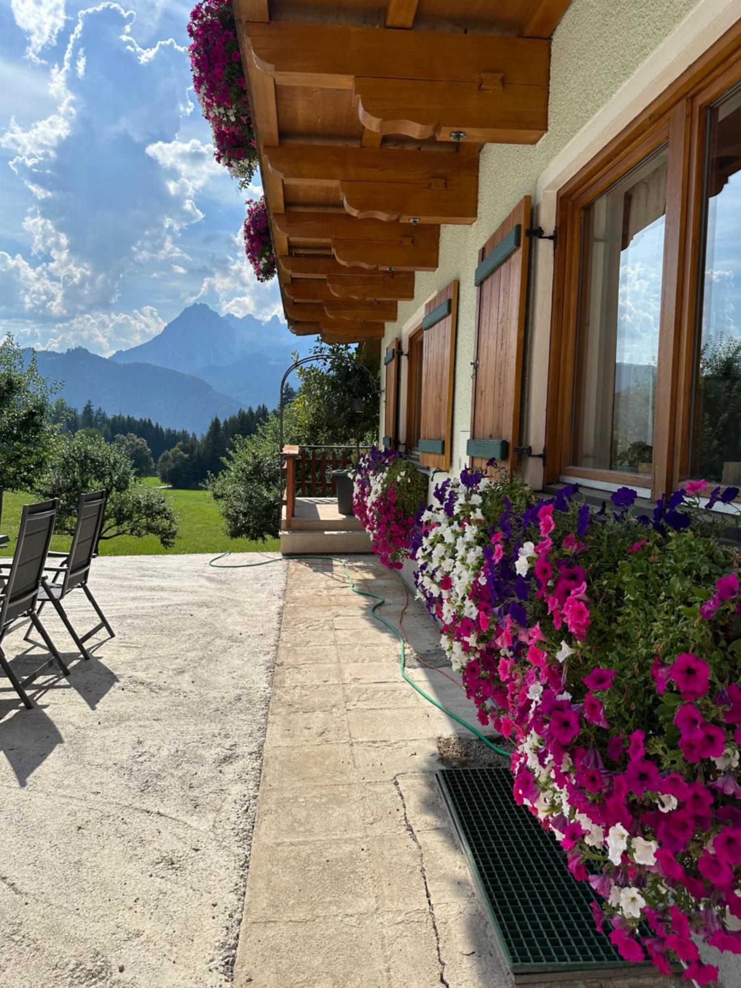 Frische Bergluft Und Laendlicher Charme - Ihr Aktiver Urlaub Am Muehlauhof Mühlbach am Hochkönig 外观 照片