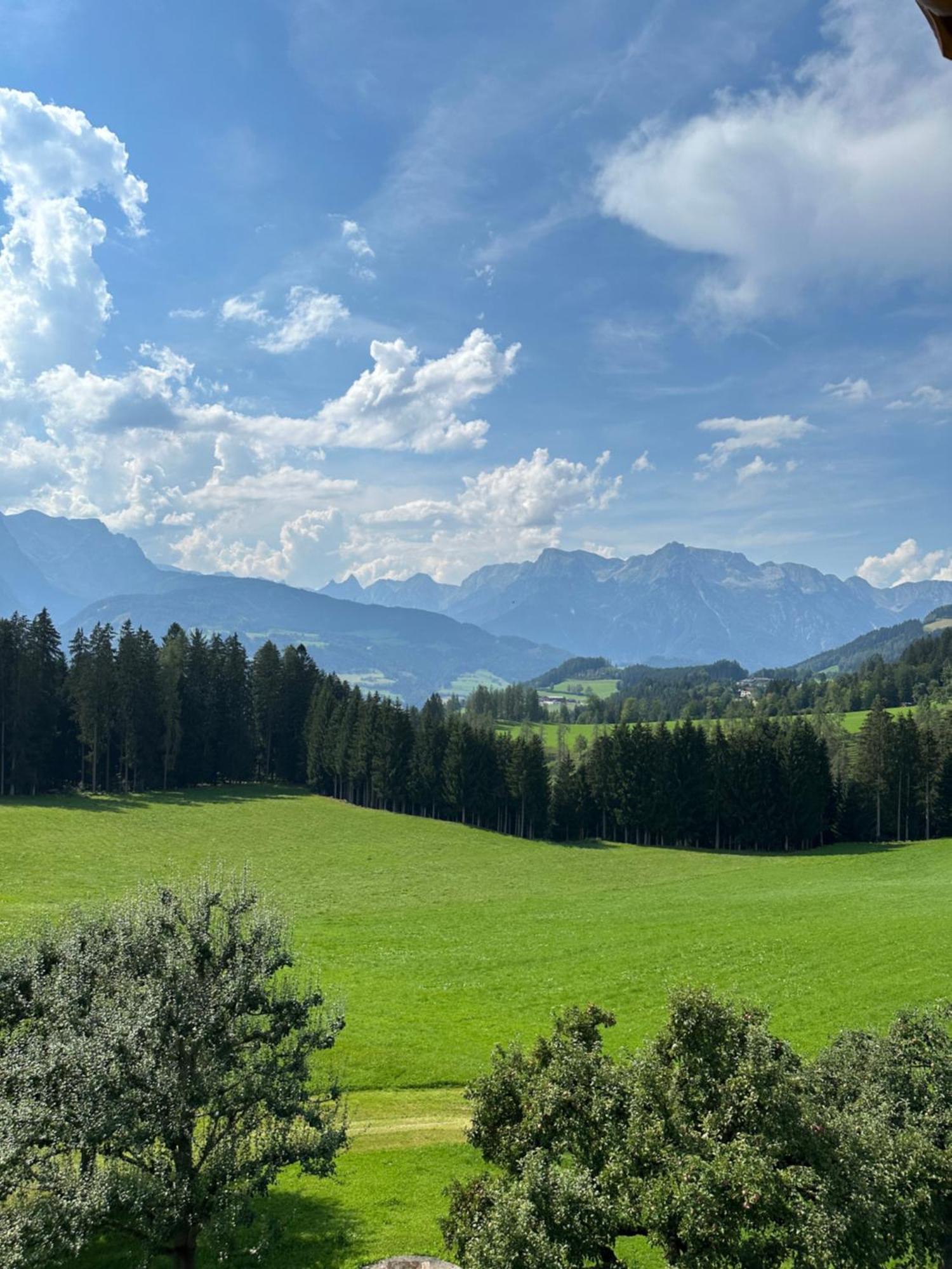 Frische Bergluft Und Laendlicher Charme - Ihr Aktiver Urlaub Am Muehlauhof Mühlbach am Hochkönig 外观 照片