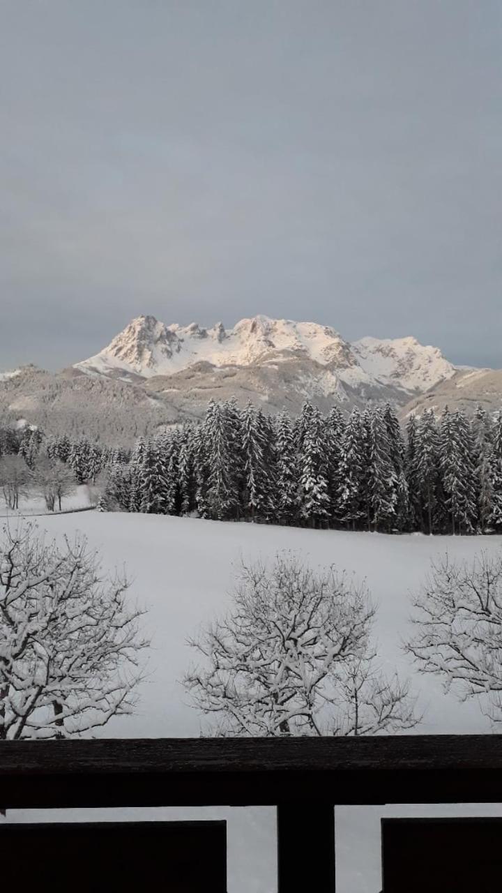 Frische Bergluft Und Laendlicher Charme - Ihr Aktiver Urlaub Am Muehlauhof Mühlbach am Hochkönig 外观 照片