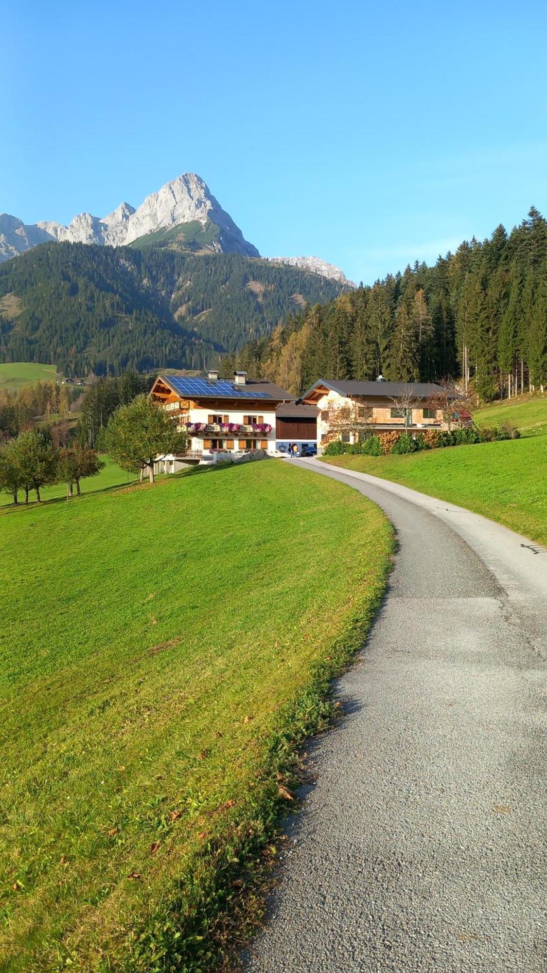 Frische Bergluft Und Laendlicher Charme - Ihr Aktiver Urlaub Am Muehlauhof Mühlbach am Hochkönig 外观 照片