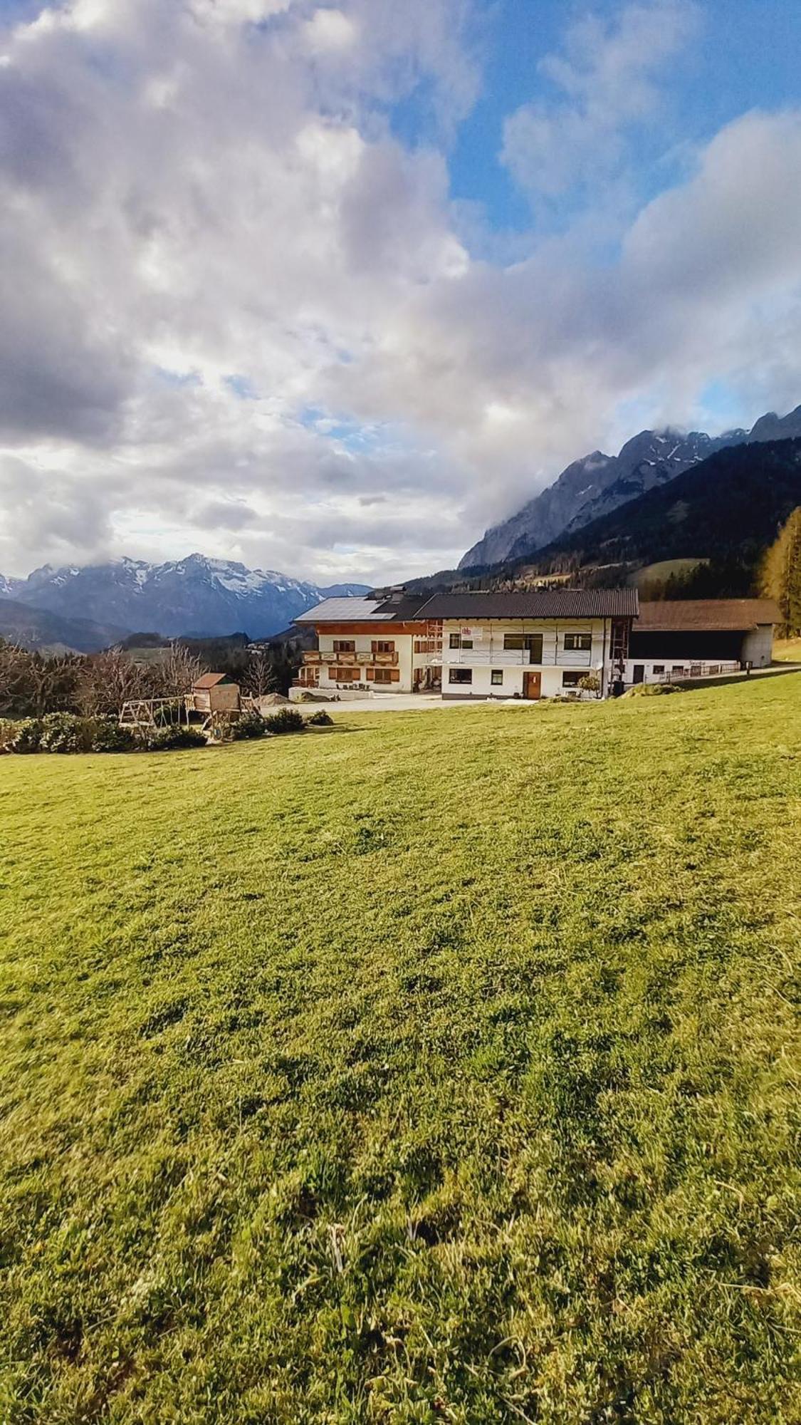 Frische Bergluft Und Laendlicher Charme - Ihr Aktiver Urlaub Am Muehlauhof Mühlbach am Hochkönig 外观 照片